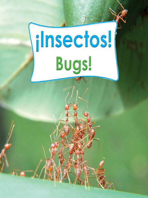Title details for ¡Insectos! (Bugs!) by Cambridge - Available